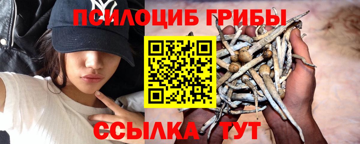 Псилоцибиновые грибы Psilocybe  что такое наркотик  Кимры  Вход с VPN 
